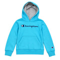 Champion Hoodie / 8 years