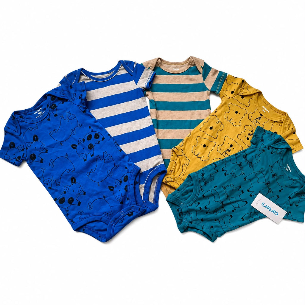 Carters Bodysuit Set